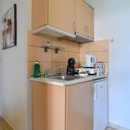 εlvina Appart hôtel Leptokaryá